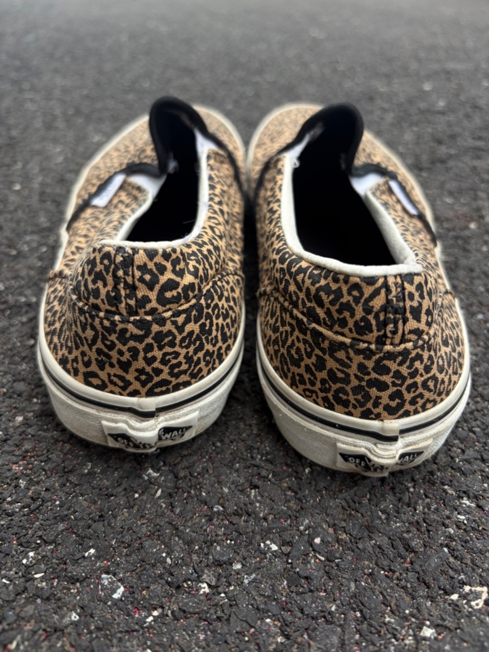 Cheetah Vans - Picture 3 of 3